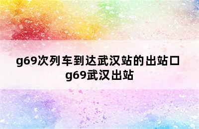 g69次列车到达武汉站的出站口 g69武汉出站